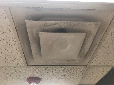 Dirty air ducts with mold