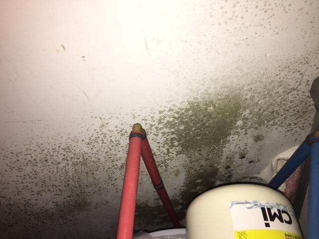 Dirty mold in closet