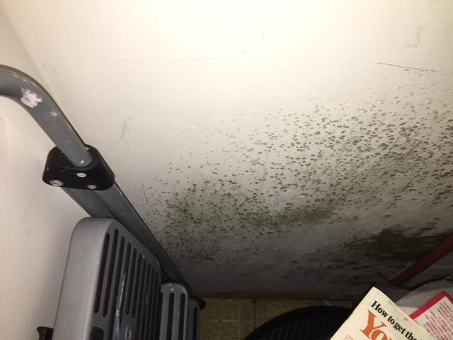 Dirty mold on wall
