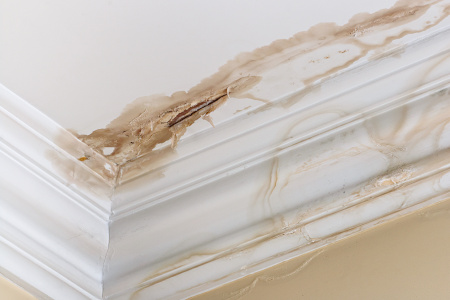 How AdvantaClean Revives Properties After Water Damage