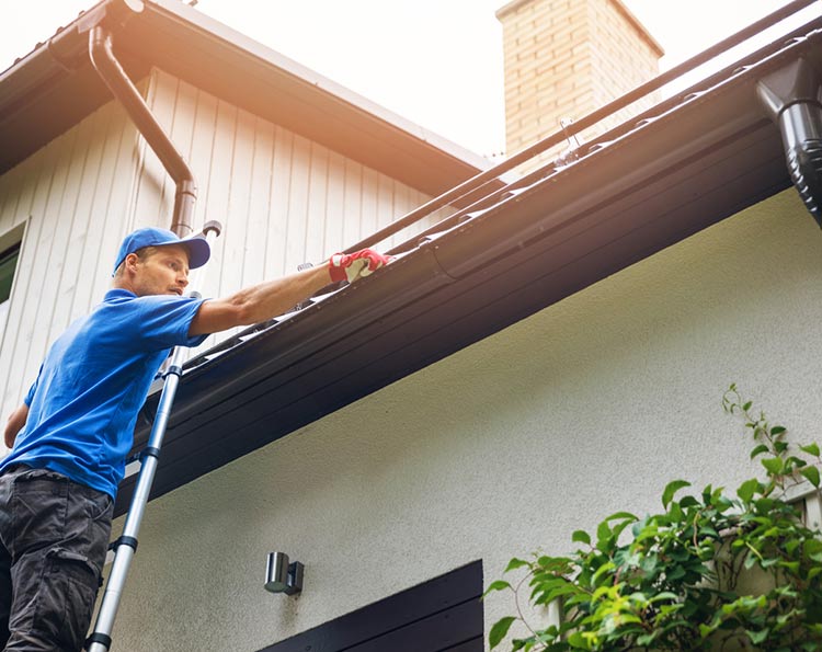 cleaning-rain-gutters-lg.jpg