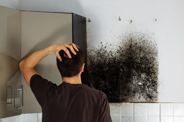 man-seeing-mold-at-kitchen-cabinet(1).jpg