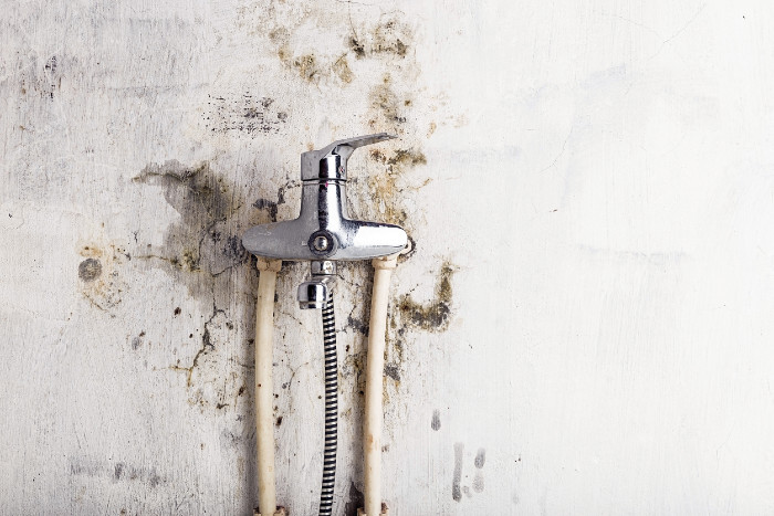 water-tap-with-fungal-mold(1).jpg