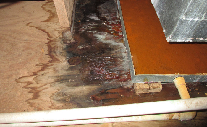 ac-7-27-22-P.jpg