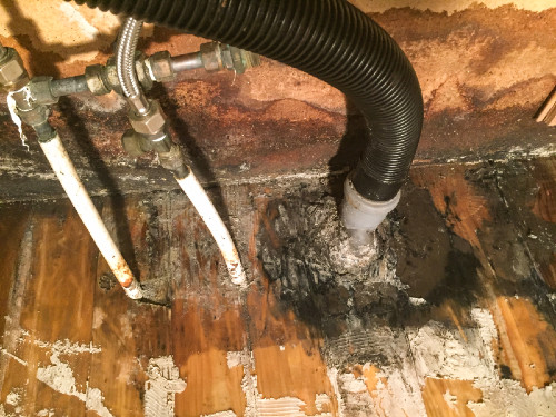 moldyfloor.jpg