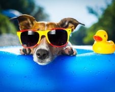 Keep Your Cool This Summer Without Overworking Your Home