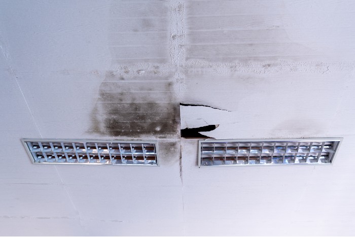 Mold-in-retail-19.jpg