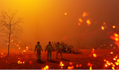 FireMD.jpg