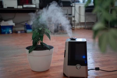 A plant and dehumidifier in a living room
