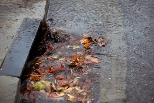 clogged-gutter-leaves.jpg