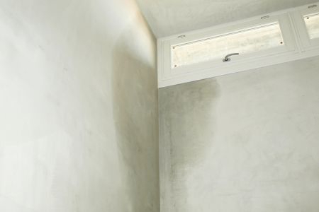 moisture on a wall