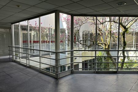 A hallway overlooking an outside tree