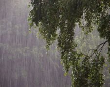 Spring Rainfall Can Quietly Create Serious Water Damage