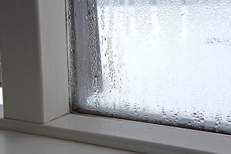 moisture on a window
