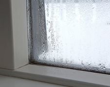Summer Humidity Control and Why Your Home Feels Different This Time of Year