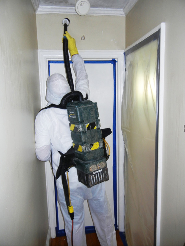 Mold_Removal_in_Home[1](1).jpg