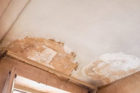 mold on walling