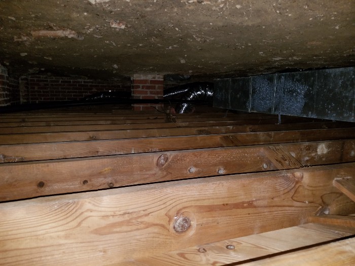 Mold_Removal_Crawl_Space_After_18[1].jpg