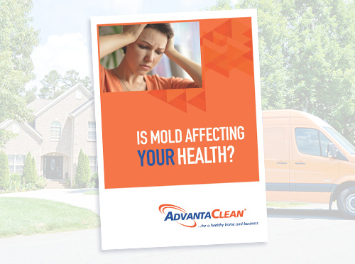 advantaclean-mold-ebook
