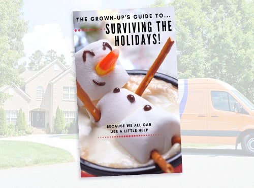 advantaclean-surviving-the-holidays