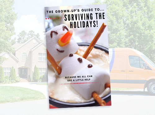advantaclean-surviving-the-holidays